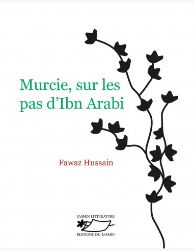 Roman contemporain - Murcie Ibn-Arabi