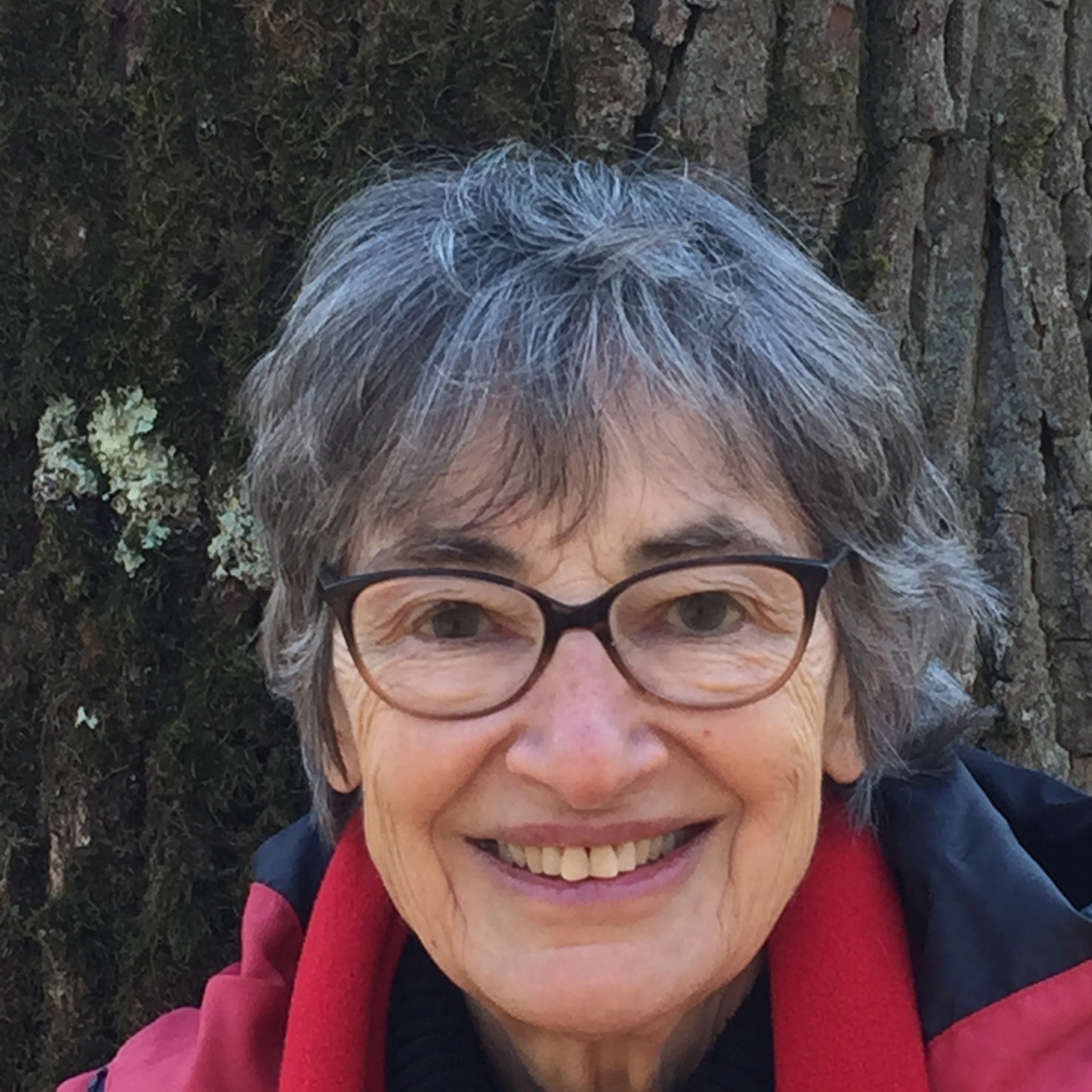 Auteur Editions du Jasmin