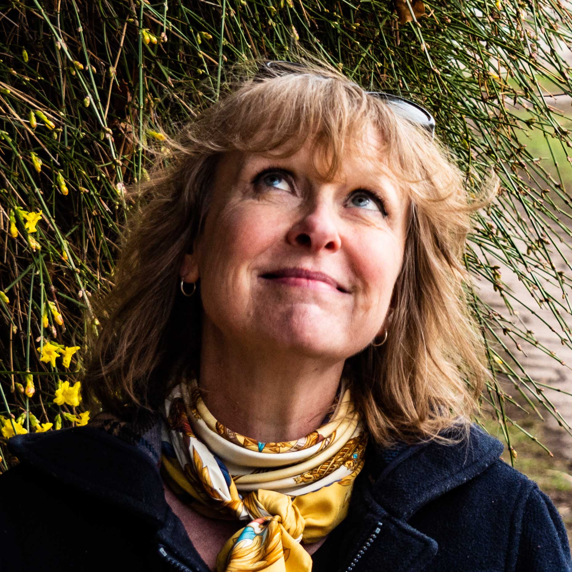 Sylvie de Mathuisieulx - Editions du Jasmin